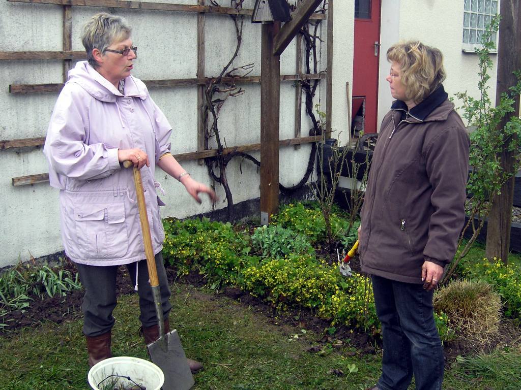 Dorfwiese_2008_12k