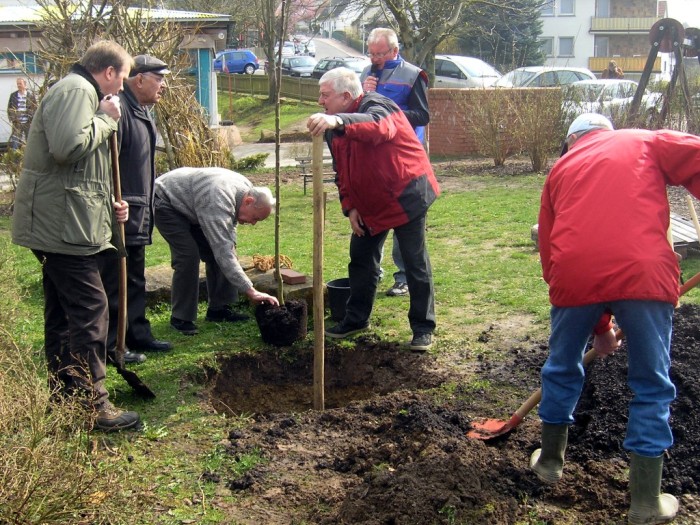 TdB2008_12k