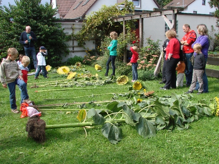 Bild2