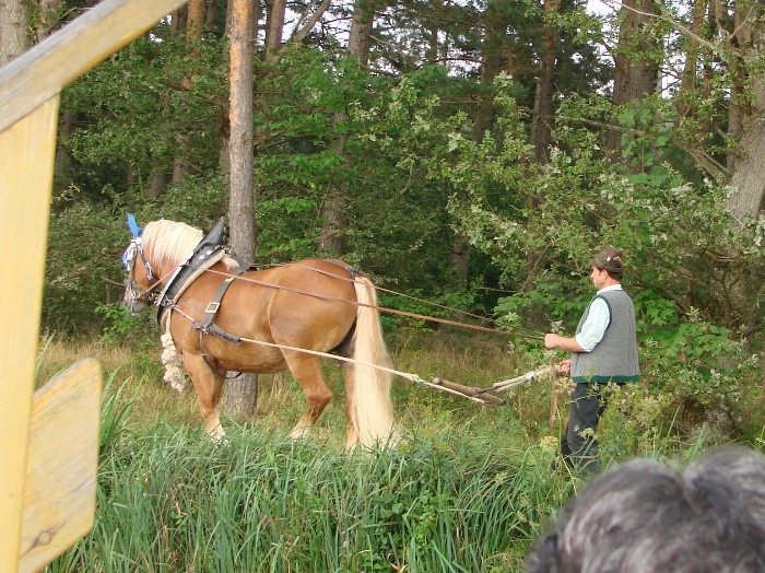 Bild_12