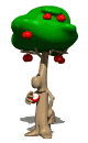 Apfelbaum