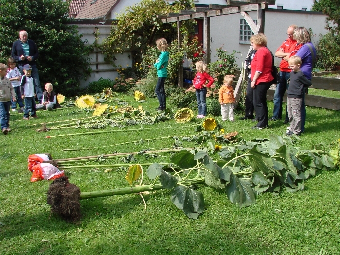 Bild1