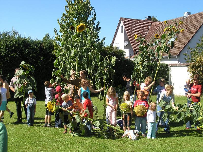 Bild_01_klein