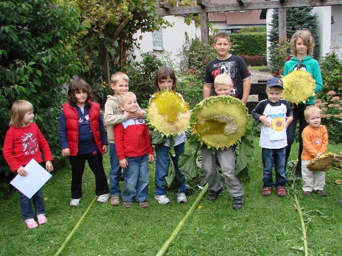 Bild4