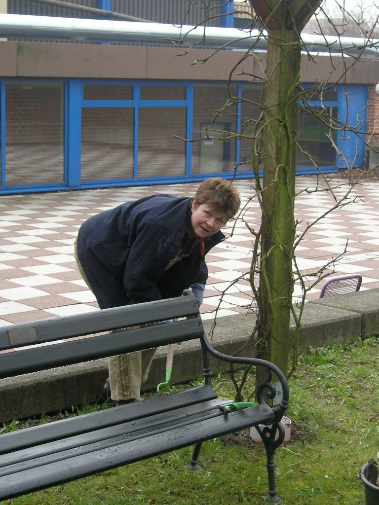 Dorfwiese_2008_08k