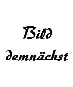Markus_Reissenweber